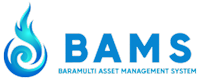 Baramulti Asset Management